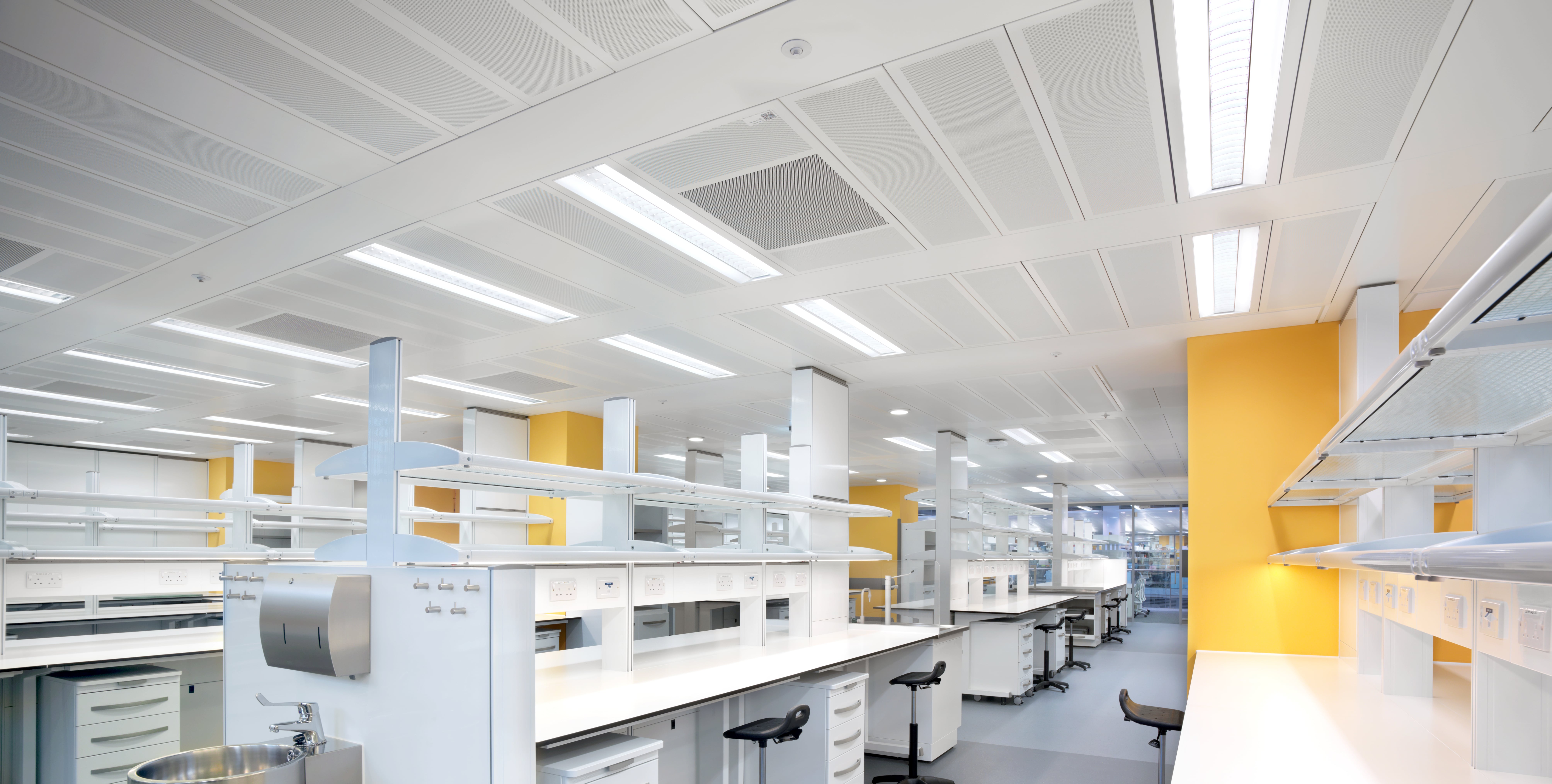 Fran-Lrg-330-lab 2 (1).jpg