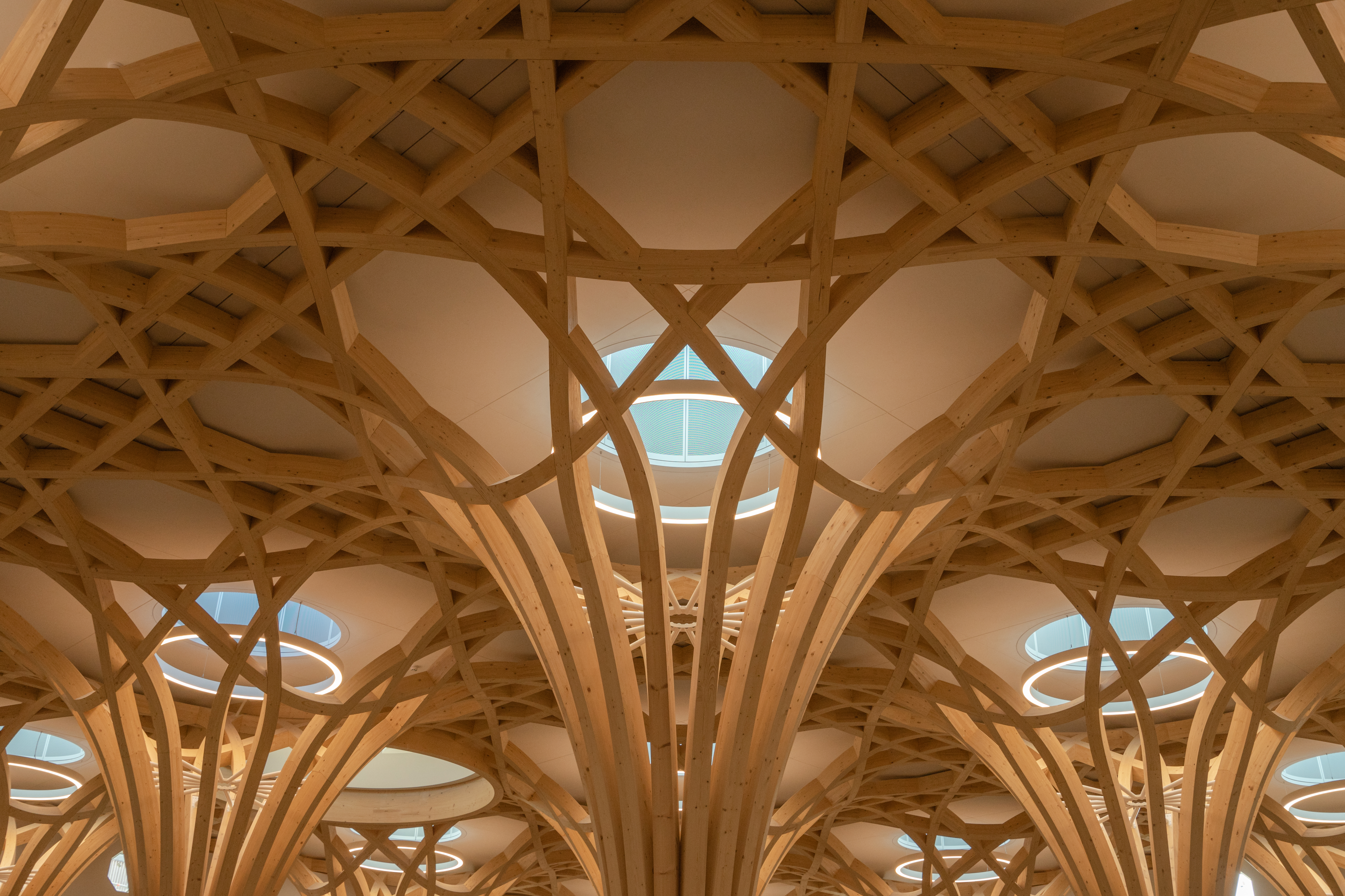 CambMo-Lrg-AM-Pow (2).jpg