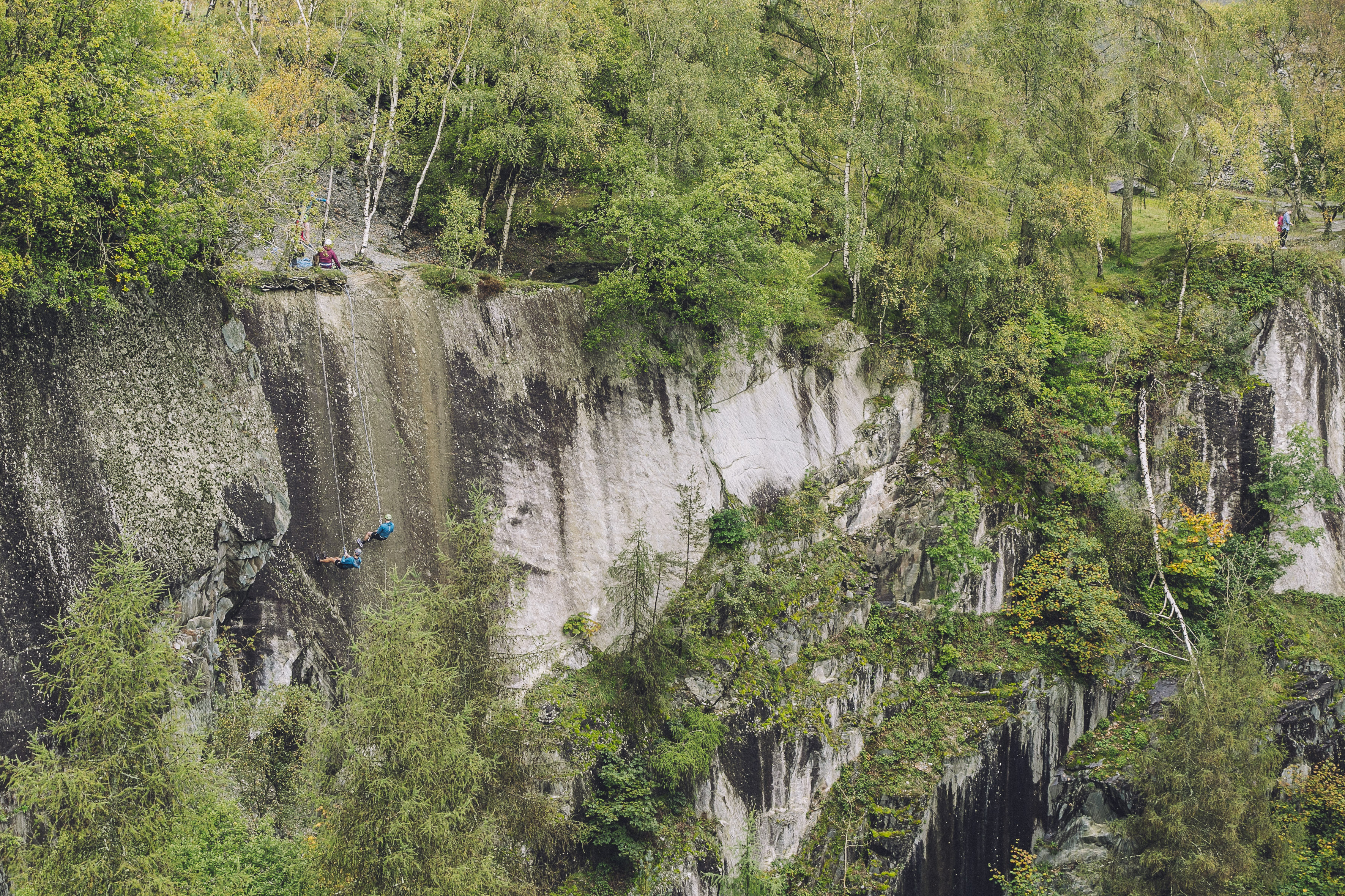 Digdeeper2019 209 (1)