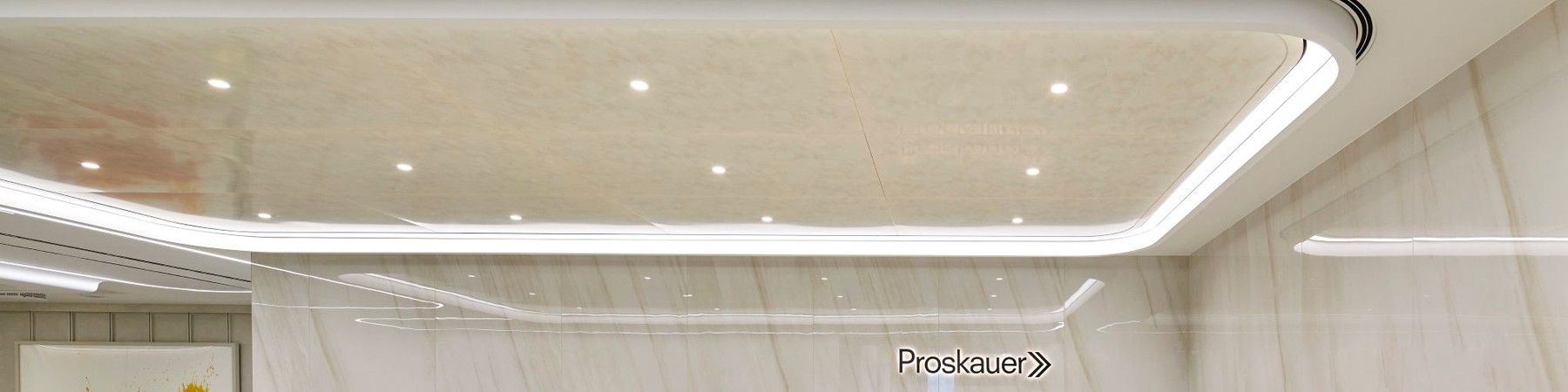 Proskauer SAS200 COM MED (1)